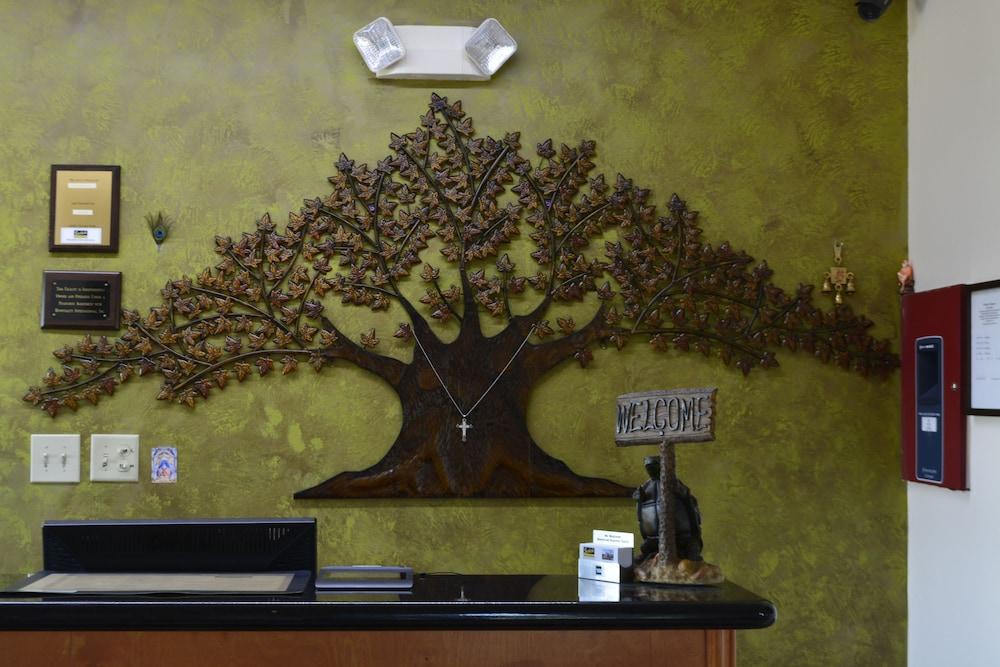 Scottish Inn And Suites Alvin Esterno foto